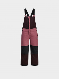 Лижні штани Jack Wolfskin модель 1610341_2700 Фото