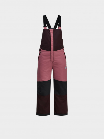 Лижні штани Jack Wolfskin модель 1610341_2700 - фото