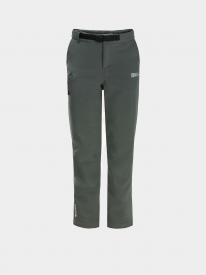 Карго Jack Wolfskin Actamic Pants модель 1610351_4136 — фото - INTERTOP