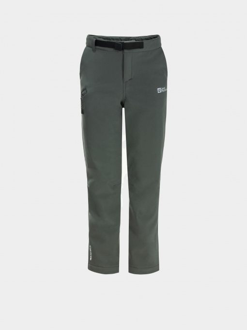 Карго Jack Wolfskin Actamic Pants модель 1610351_4136 Фото