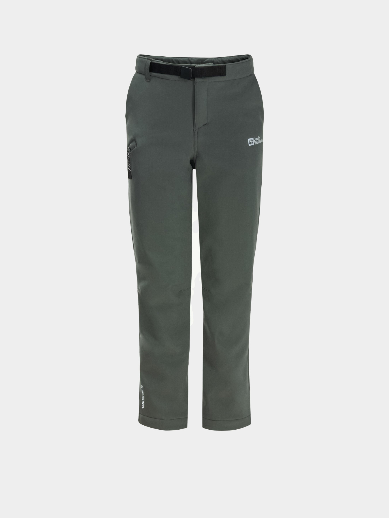 Карго Jack Wolfskin Actamic Pants модель 1610351_4136 Фото