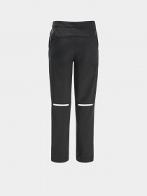 Карго Jack Wolfskin Actamic Pants модель 1610351_6350 Фото