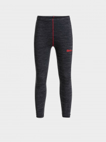 Термобілизна Jack Wolfskin Merino модель 1610461_1010 Фото