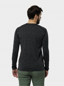 Лонгслив Jack Wolfskin Kammweg модель 1809461_6350 Лонгслив Jack Wolfskin Kammweg модель 1809461_6350 Фото