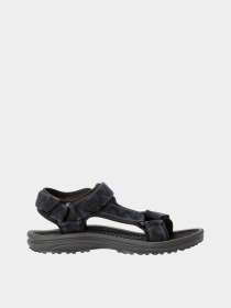 Сандалии Jack Wolfskin Wave Breaker модель 4052011_1010 Фото