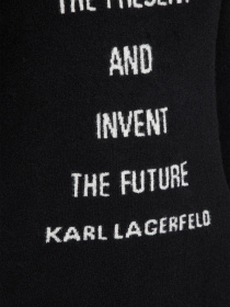 Свитер Karl Lagerfeld модель 524309.655021;80 Фото