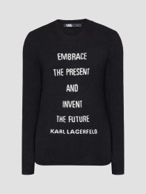 Свитер Karl Lagerfeld модель 524309.655021;80 Фото