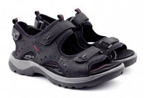 Сандалии ECCO модель 69533(201) Фото