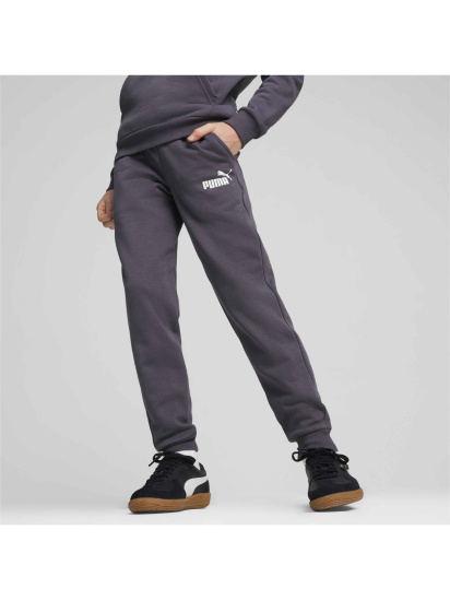 Штани спортивні PUMA Ess Logo Pants модель 586973 — фото 3 - INTERTOP