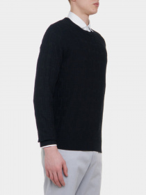 Джемпер Emporio Armani модель 3K1MX6-1MZRZ-0999 Фото