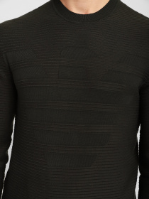 Джемпер Emporio Armani модель 6K1MXD-1MVRZ-0558 Фото