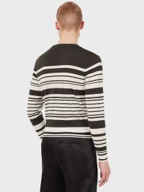 Джемпер Emporio Armani модель 6K1MXW-1MVPZ-F501 Фото