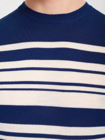 Джемпер Emporio Armani модель 6K1MXW-1MVPZ-F901 Фото