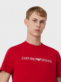 Футболка Emporio Armani модель 8N1TN5-1JPZZ-0343 Фото