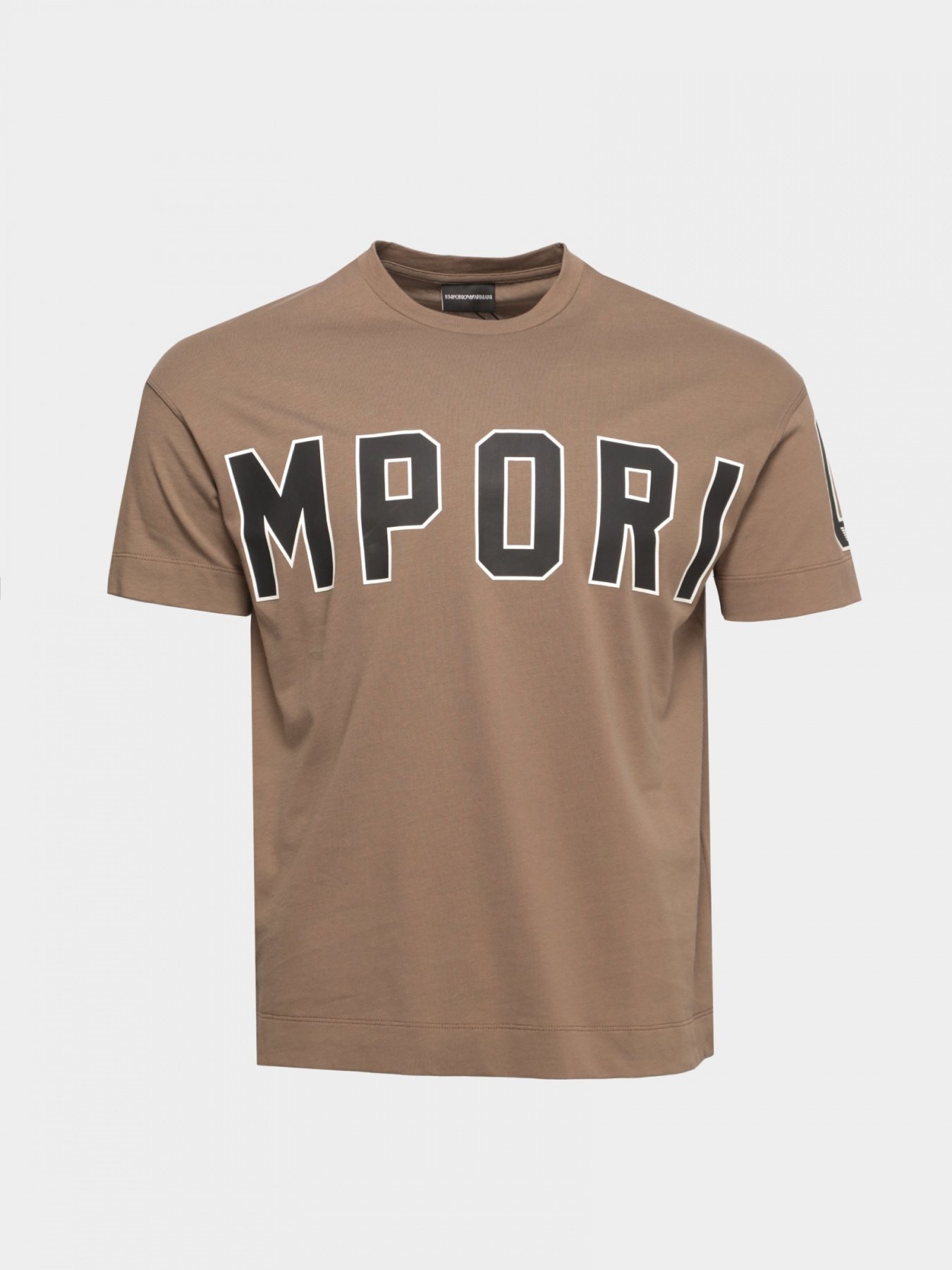 Футболки и поло Emporio Armani модель 3L1TFQ-1JWZZ-0431 Фото