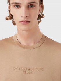 Футболка Emporio Armani модель 3L1TCF-1JUVZ-0416 Фото