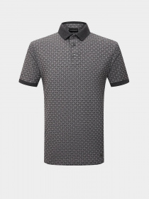 Поло Emporio Armani модель 3L1FAI-1JFYZ-F655 Фото