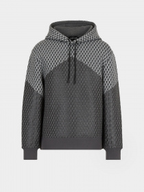 Худи Emporio Armani модель 3L1M6P-1JV9Z-F609 Фото