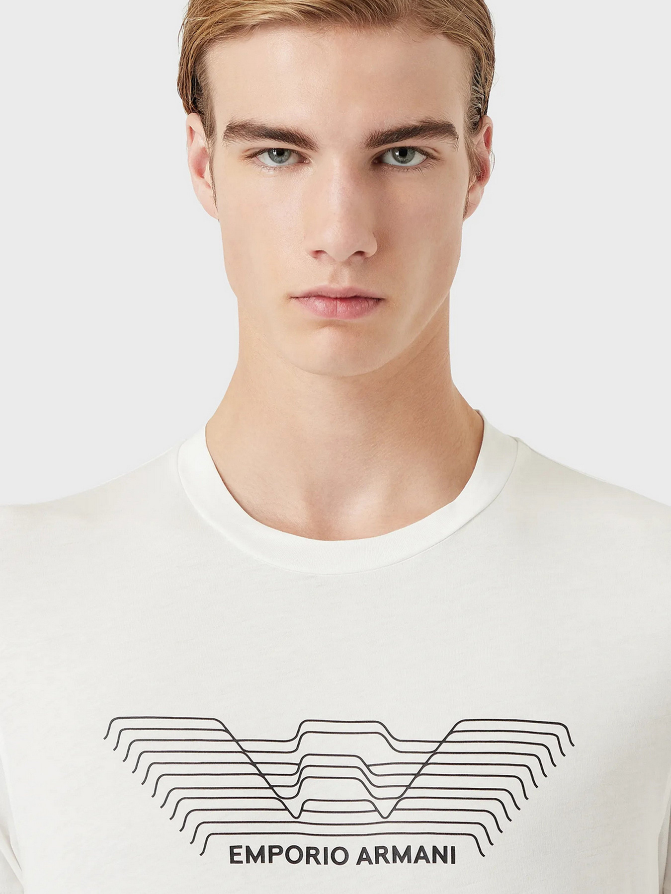 Футболка Emporio Armani модель 3L1TFD-1JPZZ-0101 Фото