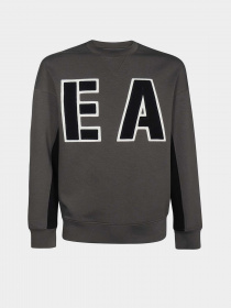 Світшот Emporio Armani модель 6L1MM2-1JHSZ-0651 Фото