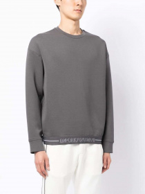 Свитшот Emporio Armani модель 6L1MM4-1JHSZ-0651 Свитшот Emporio Armani модель 6L1MM4-1JHSZ-0651 Фото