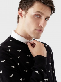 Джемпер Emporio Armani модель 6L1MX1-1MPRZ-F010 Фото