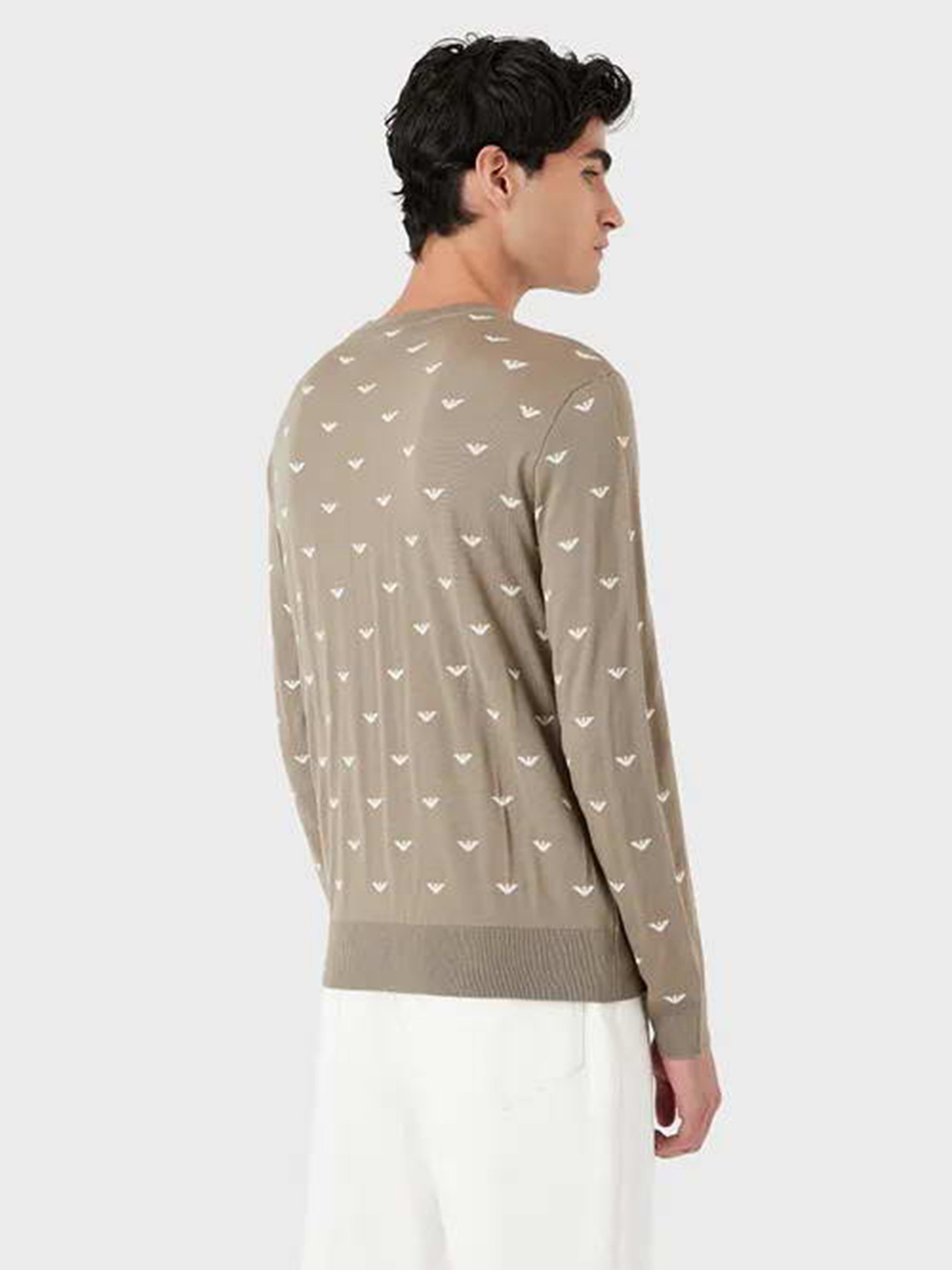 Джемпер Emporio Armani модель 6L1MX1-1MPRZ-F119 Фото