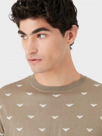 Джемпер Emporio Armani модель 6L1MX1-1MPRZ-F119 Фото