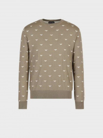 Джемпер Emporio Armani модель 6L1MX1-1MPRZ-F119 Фото