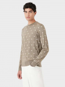Джемпер Emporio Armani модель 6L1MX1-1MPRZ-F119 Джемпер Emporio Armani модель 6L1MX1-1MPRZ-F119 Фото