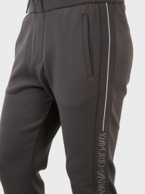 Штаны спортивные Emporio Armani модель 6L1P96-1JHSZ-0651 Фото