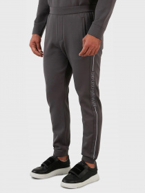 Штаны спортивные Emporio Armani модель 6L1P96-1JHSZ-0651 Штаны спортивные Emporio Armani модель 6L1P96-1JHSZ-0651 Фото