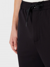 Брюки повседневные Emporio Armani модель 6L1PCA-1JGXZ-0920 Фото