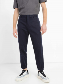 Повсякденні штани Emporio Armani модель 6L1PCL-1NJEZ-0920 Фото