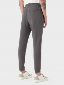 Штаны спортивные Emporio Armani модель 6L1PE5-1JHSZ-0651 Фото