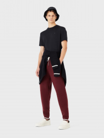 Штаны спортивные Emporio Armani Travel модель 6L1PXJ-1MJRZ-0397 Фото