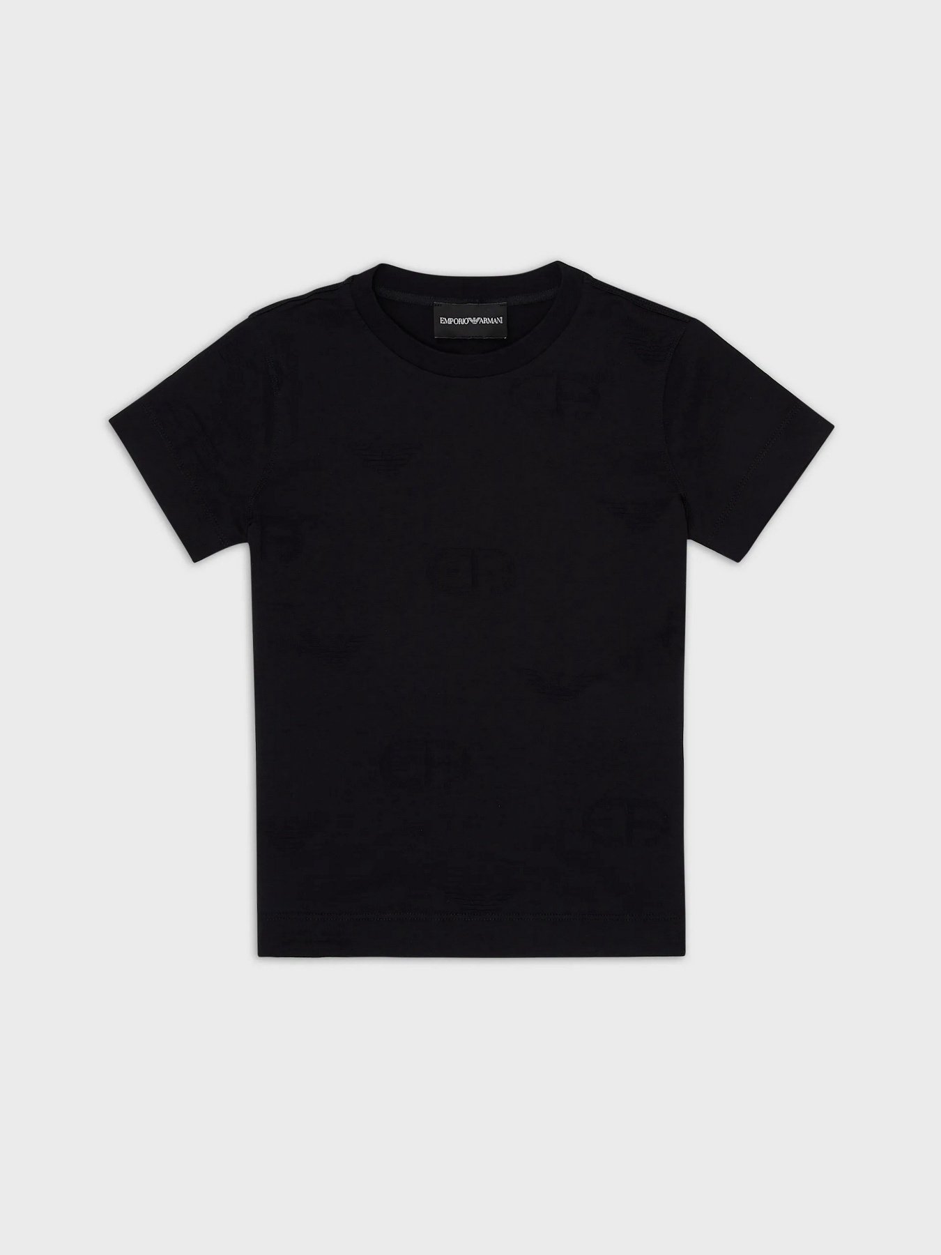 Футболка Emporio Armani модель 6L1TA2-1JGYZ-0990 Фото