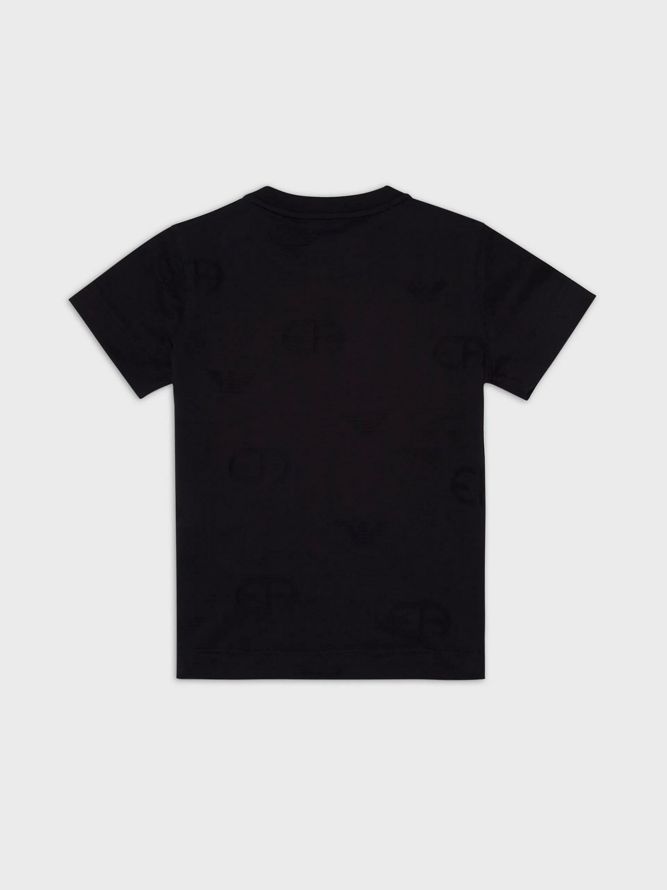 Футболка Emporio Armani модель 6L1TA2-1JGYZ-0990 Фото