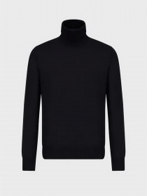 Водолазка Emporio Armani модель 8N1M43-1M67Z-0922 Фото