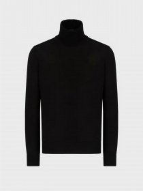 Водолазка Emporio Armani модель 8N1M43-1M67Z-0999 Фото