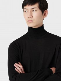 Водолазка Emporio Armani модель 8N1M43-1M67Z-0999 Фото