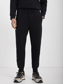 Спортивні штани Emporio Armani модель 3R1PCG-1JHSZ-0920 Фото