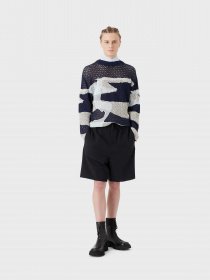 Повсякденні шорти Emporio Armani модель 3R1PG0-1NNIZ-0920 Фото