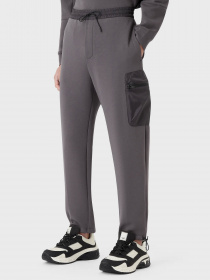 Штаны спортивные Emporio Armani Travel Essentials модель 3R1PZ1-1JHSZ-0657 Фото