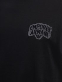 Футболка Emporio Armani модель 3R1TBE-1JUVZ-0920 Фото
