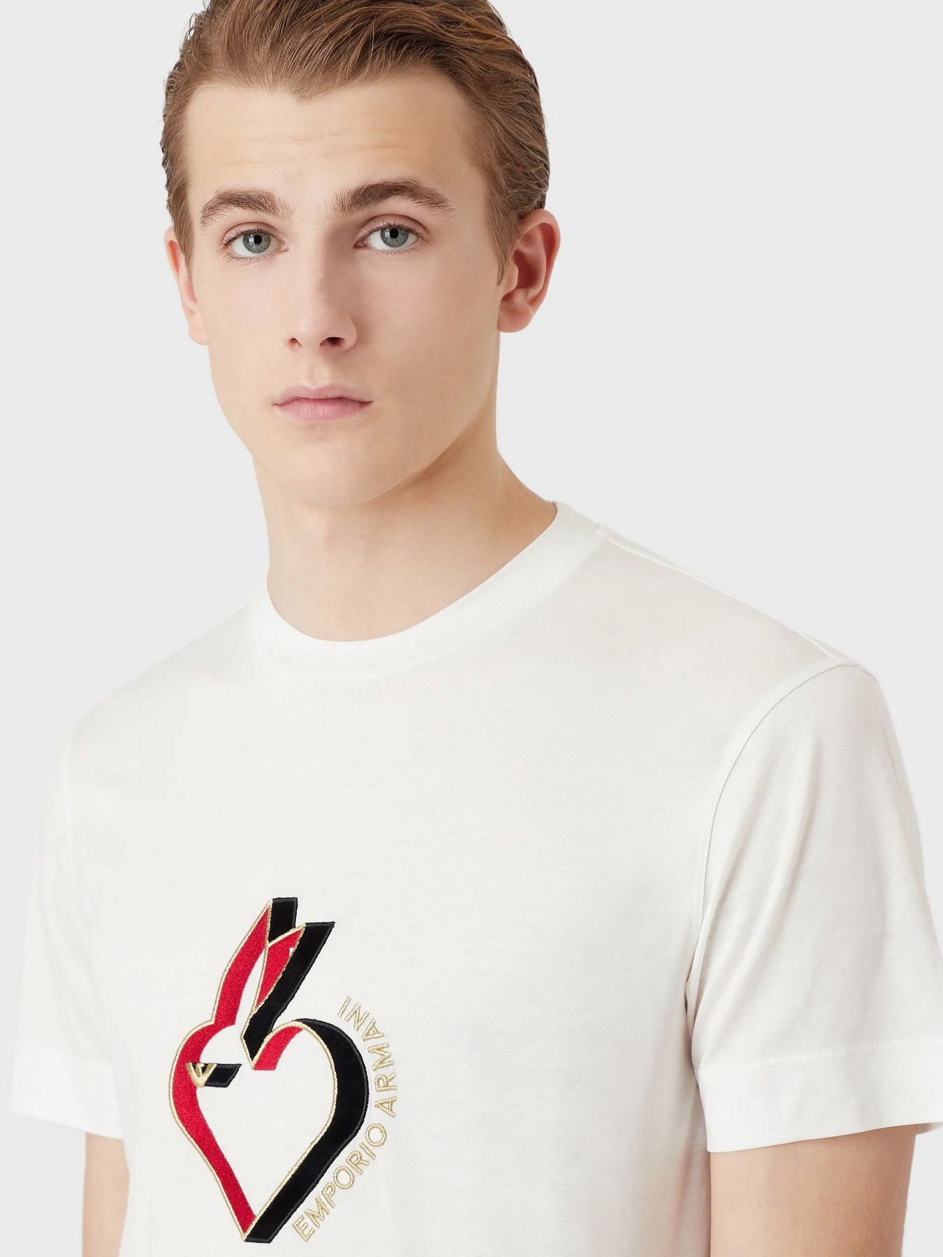 Футболка Emporio Armani модель 3R1TBL-1JUVZ-0101 Фото