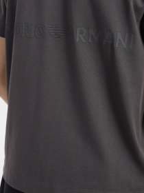 Футболка Emporio Armani модель 3R1TC3-1JWZZ-0651 Фото