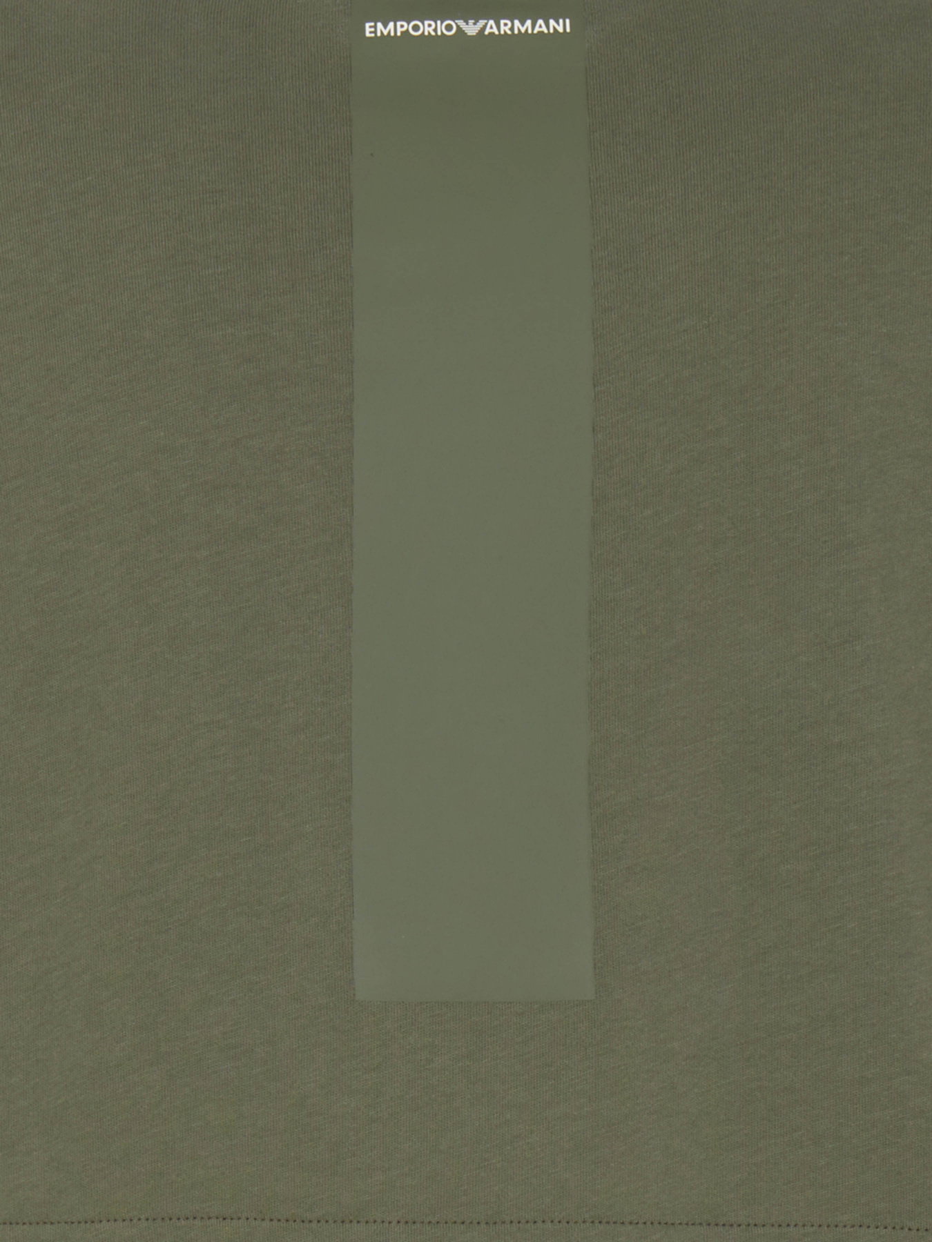 Футболка Emporio Armani модель 6R1TDG-1JWZZ-06B9 Фото