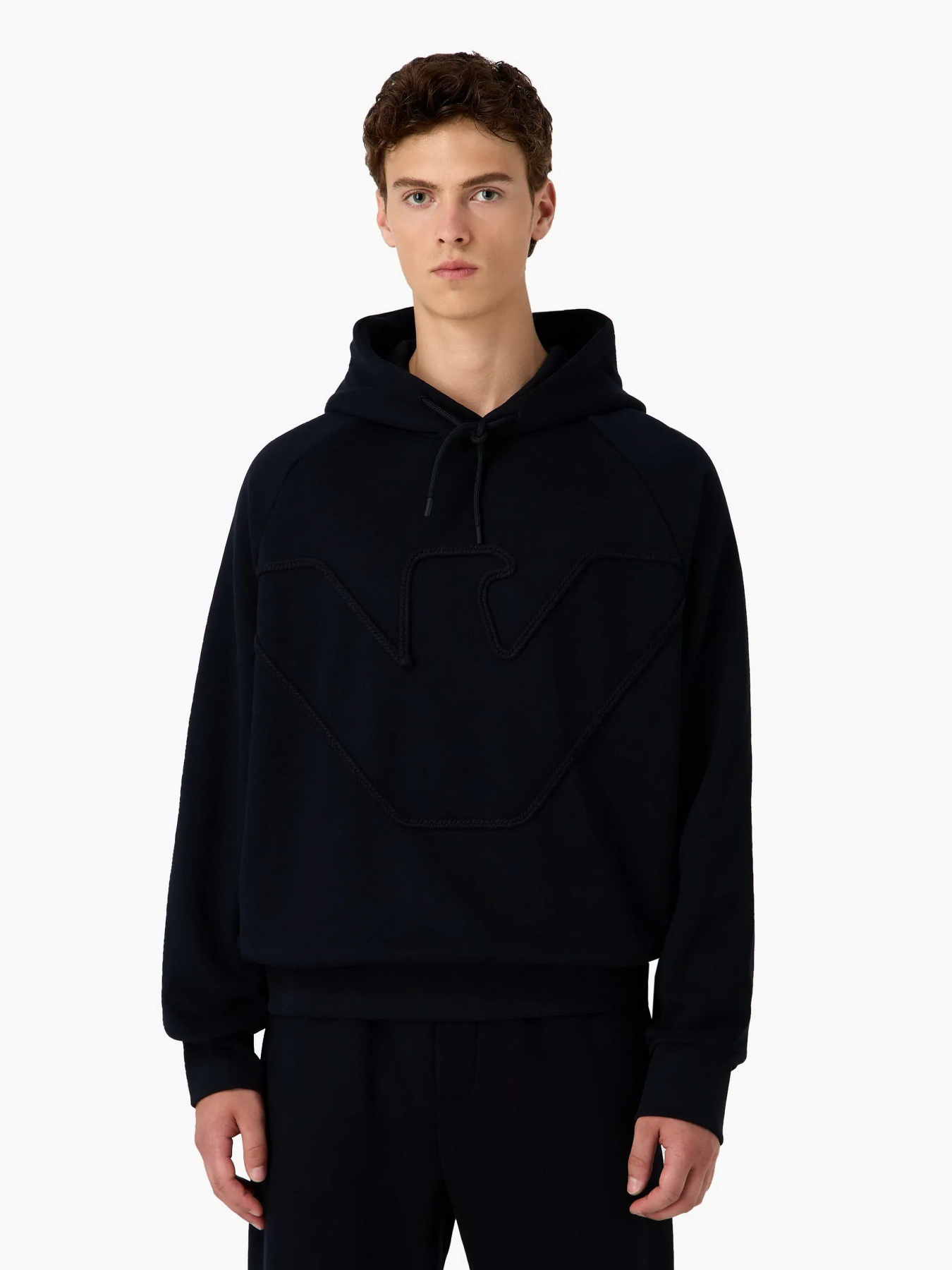 Худи Emporio Armani модель 6R1ME4-1JWPZ-09S6 Худи Emporio Armani модель 6R1ME4-1JWPZ-09S6 Фото