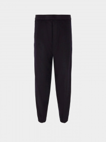 Повсякденні штани Emporio Armani модель 6R1PQ4-1NTYZ-0920 Фото